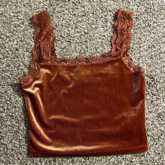 Forever 21 Tops - Velvet crop top tank